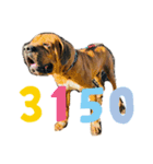 仲良し犬舎（個別スタンプ：3）