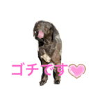 仲良し犬舎（個別スタンプ：4）