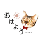 ねこ@Leo（個別スタンプ：1）
