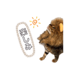 ねこ@Leo（個別スタンプ：14）
