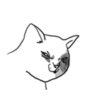 何でやねん猫 - 2（個別スタンプ：2）