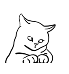 何でやねん猫 - 2（個別スタンプ：22）