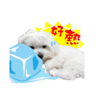 俺はかわいいQ（個別スタンプ：29）
