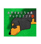 かわいいワンちゃん スタンプ（個別スタンプ：1）