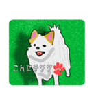 かわいいワンちゃん スタンプ（個別スタンプ：3）