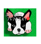かわいいワンちゃん スタンプ（個別スタンプ：4）