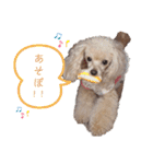 あずきちゃん1（個別スタンプ：7）
