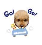 あずきちゃん1（個別スタンプ：20）