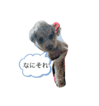 にゅーぴの（個別スタンプ：5）