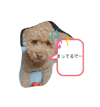 にゅーぴの（個別スタンプ：6）