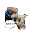 にゅーぴの（個別スタンプ：7）