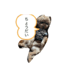 にゅーぴの（個別スタンプ：8）