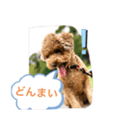 にゅーぴの（個別スタンプ：13）
