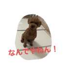 にゅーぴの（個別スタンプ：14）