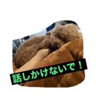 にゅーぴの（個別スタンプ：15）