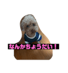 にゅーぴの（個別スタンプ：20）