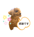 もも☆いつも一緒  Part1（個別スタンプ：2）