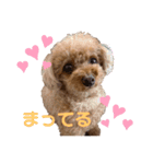 もも☆いつも一緒  Part1（個別スタンプ：5）