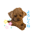もも☆いつも一緒  Part1（個別スタンプ：8）