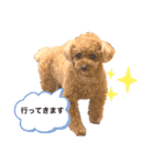 もも☆いつも一緒  Part1（個別スタンプ：10）