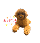 もも☆いつも一緒  Part1（個別スタンプ：11）