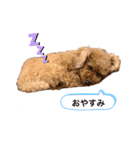 もも☆いつも一緒  Part1（個別スタンプ：12）