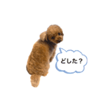 もも☆いつも一緒  Part1（個別スタンプ：14）