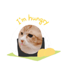 こぬ（個別スタンプ：3）