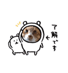 こぬ（個別スタンプ：10）