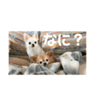 たまご×ごはんとみりん。（個別スタンプ：1）