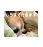 たまご×ごはんとみりん。（個別スタンプ：2）