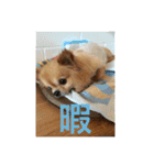たまご×ごはんとみりん。（個別スタンプ：4）