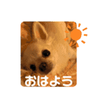たまご×ごはんとみりん。（個別スタンプ：6）