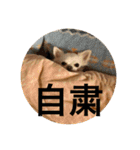 たまご×ごはんとみりん。（個別スタンプ：13）