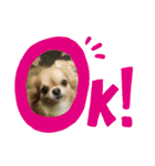 たまご×ごはんとみりん。（個別スタンプ：15）