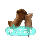 たまご×ごはんとみりん。（個別スタンプ：18）