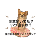たまご×ごはんとみりん。（個別スタンプ：20）