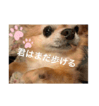 たまご×ごはんとみりん。（個別スタンプ：26）