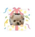 たまご×ごはんとみりん。（個別スタンプ：30）