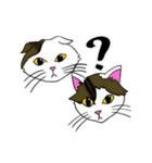 あと5スタンプ！（個別スタンプ：19）