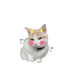 ねこにこばんpart3（個別スタンプ：4）