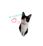 ねこにこばんpart3（個別スタンプ：10）