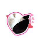 ねこにこばんpart3（個別スタンプ：14）