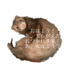 たかぎの愛（個別スタンプ：2）