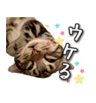 うにのスタンプ01（個別スタンプ：2）