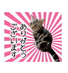 うにのスタンプ01（個別スタンプ：3）