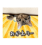 うにのスタンプ01（個別スタンプ：5）