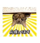 うにのスタンプ01（個別スタンプ：14）