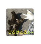 沼木語(古め)3（個別スタンプ：2）