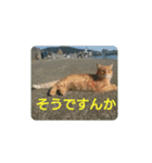 沼木語(古め)3（個別スタンプ：5）